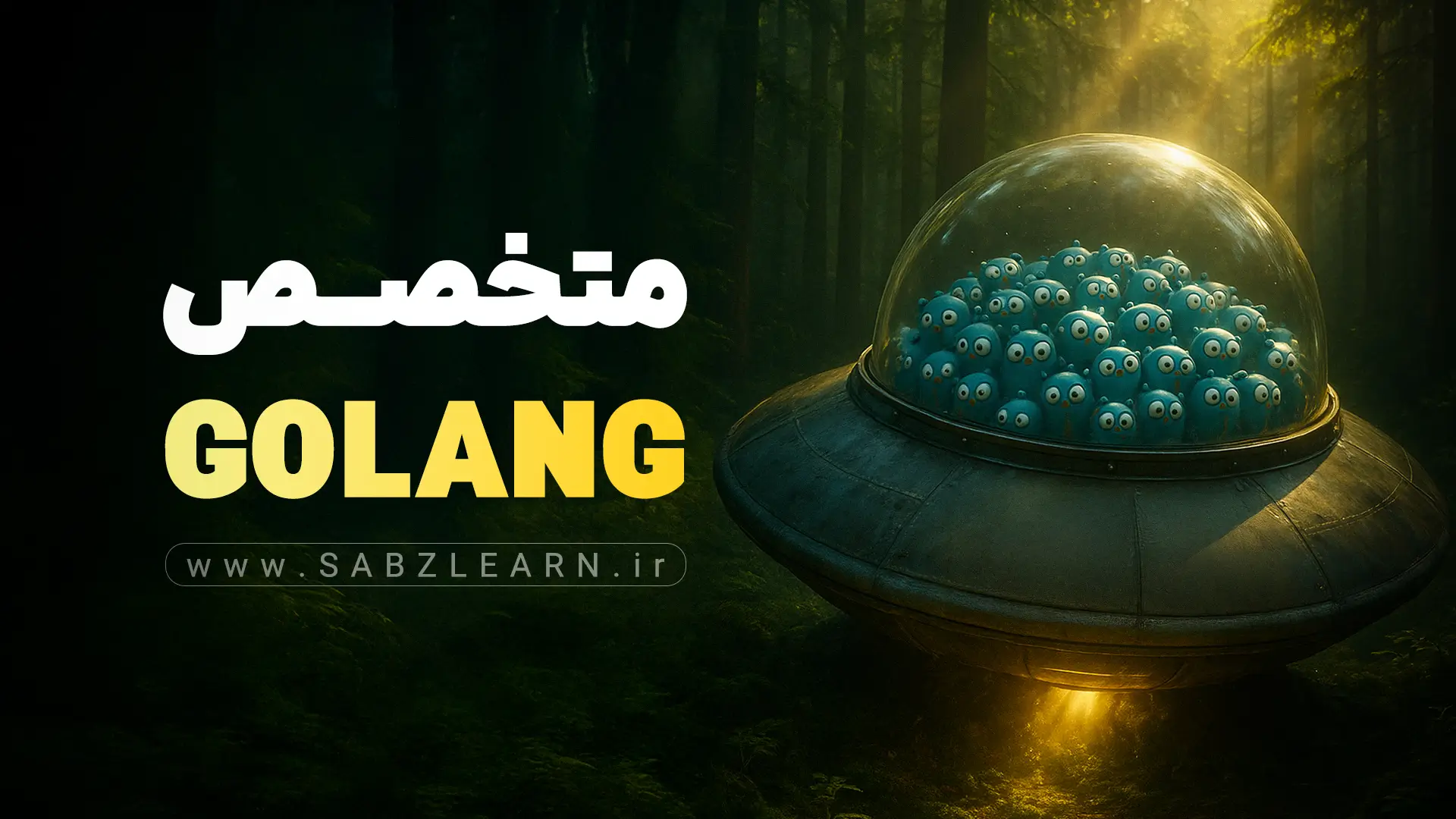 آموزش جامع زبان GO